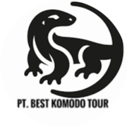 Komodo Island Tour | Flores Komodo Boat Trip